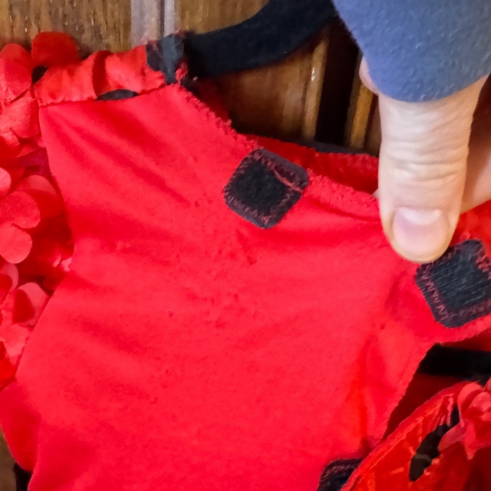 Red and Black Polka Dot Ladybug Costume Dress for 2-3T - Picture 5 of 5
